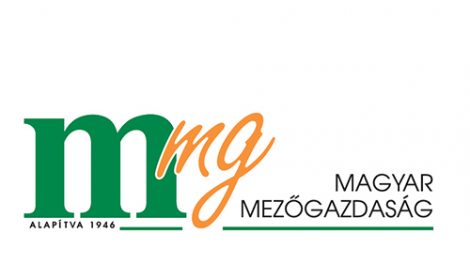 mmg lap logo